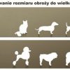 OBROŻA DLA PSA PSÓW LED ŚWIECĄCA 35-53 CM 3 KOLORY