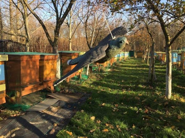 SOKÓŁ ODSTRASZACZ PTAKÓW SZPAKÓW GOŁĘBI PTAKI 54cm