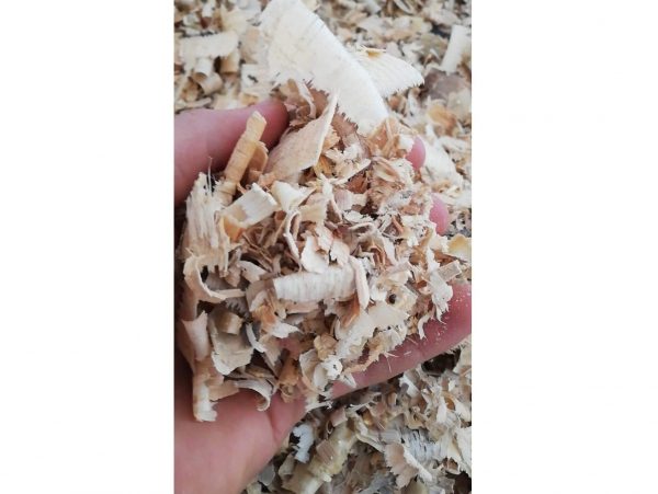 TROCINY WIÓRY SOSNOWE ŚCIÓŁKA PODŁOŻE GRYZONIE 5KG