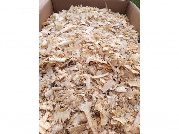 TROCINY WIÓRY SOSNOWE ŚCIÓŁKA PODŁOŻE GRYZONIE 5KG