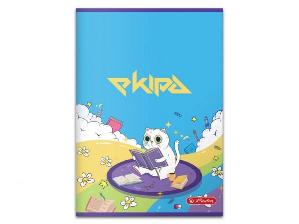 ZESZYT EKIPY EKIPA FRIZA HERLITZ A5/60K LINIA