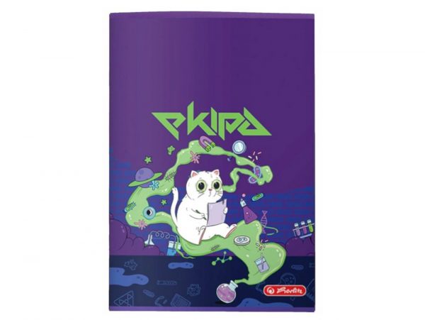 ZESZYT EKIPY EKIPA FRIZA HERLITZ A5/60K LINIA