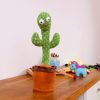 ŚPIEWAJĄCY TAŃCZĄCY KAKTUS POWTARZA MÓWI ZABAWKA