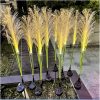 LAMPA OGRODOWA SOLARNA LED TRAWA PAMPAS 2 SZT
