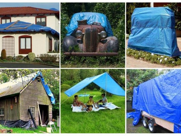 PLANDEKA PE NIEBIESKA 2 x 3m - 50g/m2