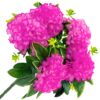 CHRYZANTEMA BUKIET 5 KWIATÓW 59cm - różowy