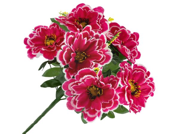 CHRYZANTEMA BUKIET 6 KWIATÓW 55cm - biało-ciemnoróżowy