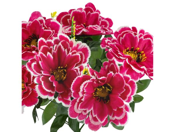 CHRYZANTEMA BUKIET 6 KWIATÓW 55cm - biało-ciemnoróżowy