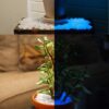 KAMIENIE ŚWIECĄCE FLUORESCENCYJNE 100szt - biały