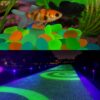 KAMIENIE ŚWIECĄCE FLUORESCENCYJNE 100szt - kolorowe