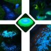 KAMIENIE ŚWIECĄCE FLUORESCENCYJNE 100szt -niebieskie