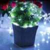 LAMPKI DRUCIKI 20 LED - biały zimny