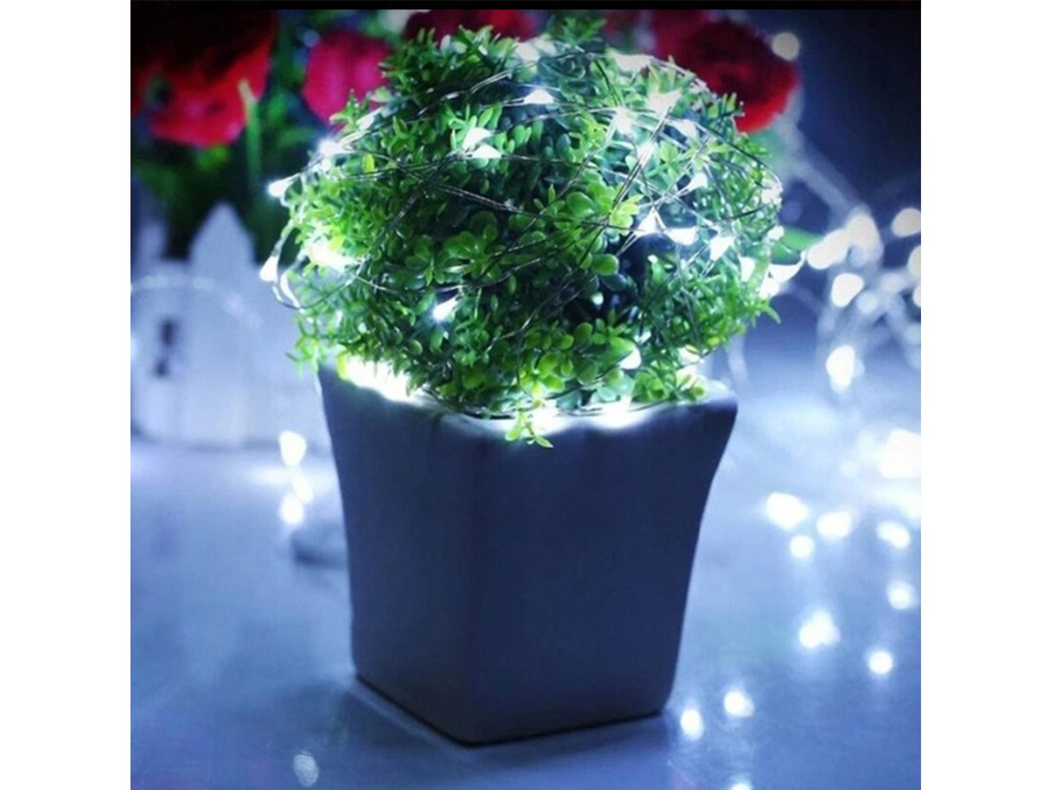 LAMPKI DRUCIKI 20 LED - biały zimny