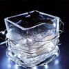 LAMPKI DRUCIKI 20 LED - biały zimny
