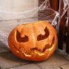 PAJĘCZYNA BIAŁA 20G HALLOWEN + 2 PAJĄKI