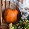 PAJĘCZYNA BIAŁA 20G HALLOWEN + 2 PAJĄKI