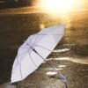 PARASOL PRZEZROCZYSTY 72cm - fioletowy