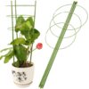 PODPORA PIERŚCIENIOWA ROŚLIN KWIATÓW PODPÓRKA 60cm