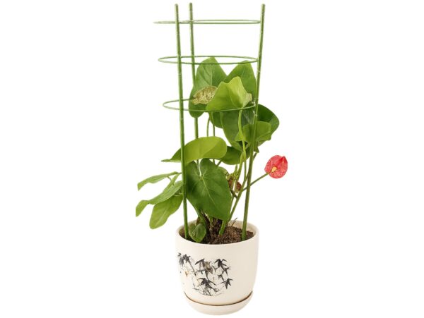 PODPORA PIERŚCIENIOWA ROŚLIN KWIATÓW PODPÓRKA 60cm