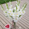 FREZJA SZTUCZNA POJEDYNCZA 90CM (kwiat 7-3 cm)