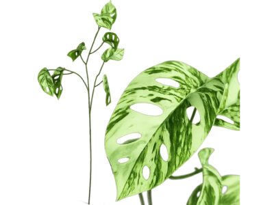 MONSTERA SZTUCZNA GAŁĄZKA 78CM 3 RAMIONA