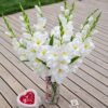 FREZJA SZTUCZNA POJEDYNCZA 90CM (kwiat 7-3 cm) 6SZT