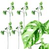 MONSTERA SZTUCZNA GAŁĄZKA 78CM 3 RAMIONA 5SZT