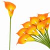 KALIA GUMOWA SZTUCZNA 31CM (kwiat 8x5cm) POMARANCZOWO-ŻÓŁTY 12SZT