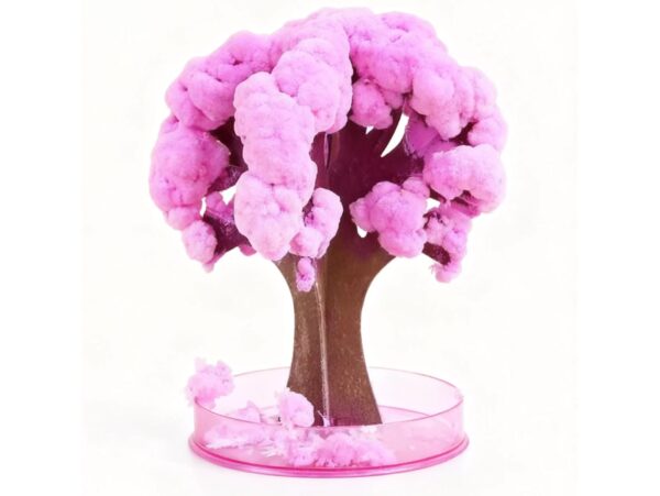 MAGICZNE DRZEWKO SAKURA ZESTAW KREATYWNY