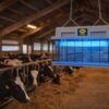MO-EL LAMPA OWADOBÓJCZA RAŻĄCA 2x40W 850m2/CRI 308E 8010114308024