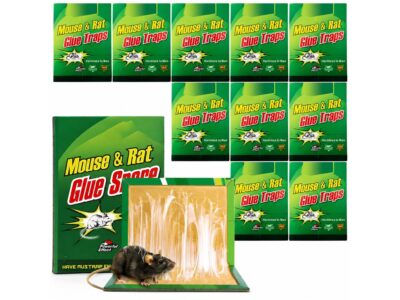PUŁAPKA NA MYSZY LEP 31x21 XXL 10SZT