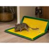 PUŁAPKA NA MYSZY LEP 31x21 XXL 10SZT
