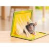 PUŁAPKA NA MYSZY LEP 31x21 XXL 10SZT