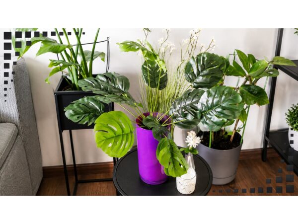 MONSTERA BUKIET SZTUCZN18 ŁODYG 55cm