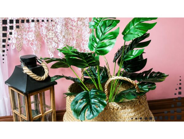 MONSTERA BUKIET SZTUCZN18 ŁODYG 55cm