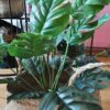 MONSTERA BUKIET SZTUCZN18 ŁODYG 55cm