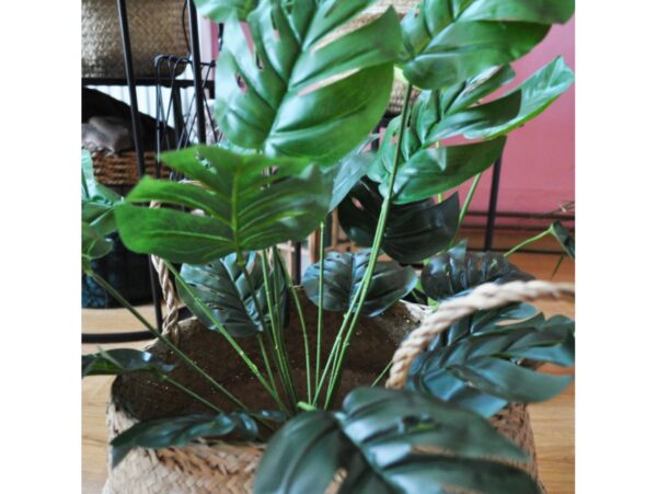 MONSTERA BUKIET SZTUCZN18 ŁODYG 55cm