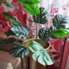 MONSTERA BUKIET SZTUCZN18 ŁODYG 55cm