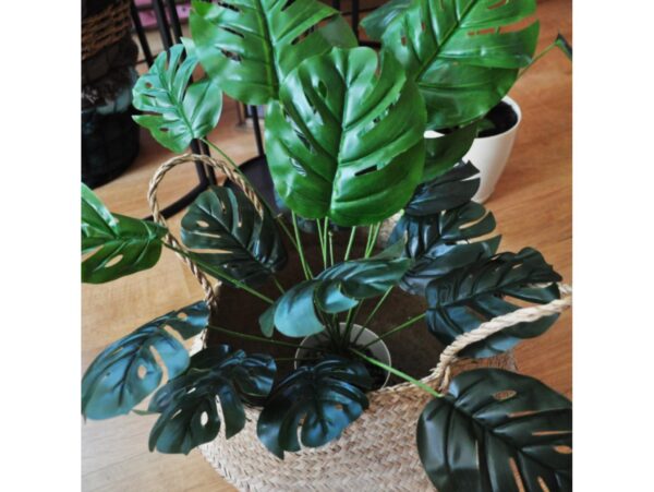 MONSTERA BUKIET SZTUCZN18 ŁODYG 55cm